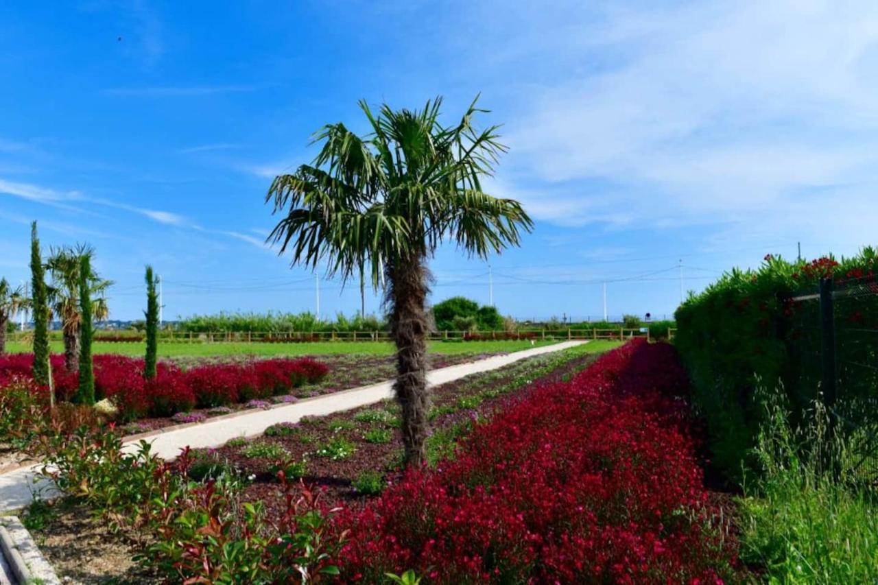Domaine Juan Flore Antibes Exterior foto
